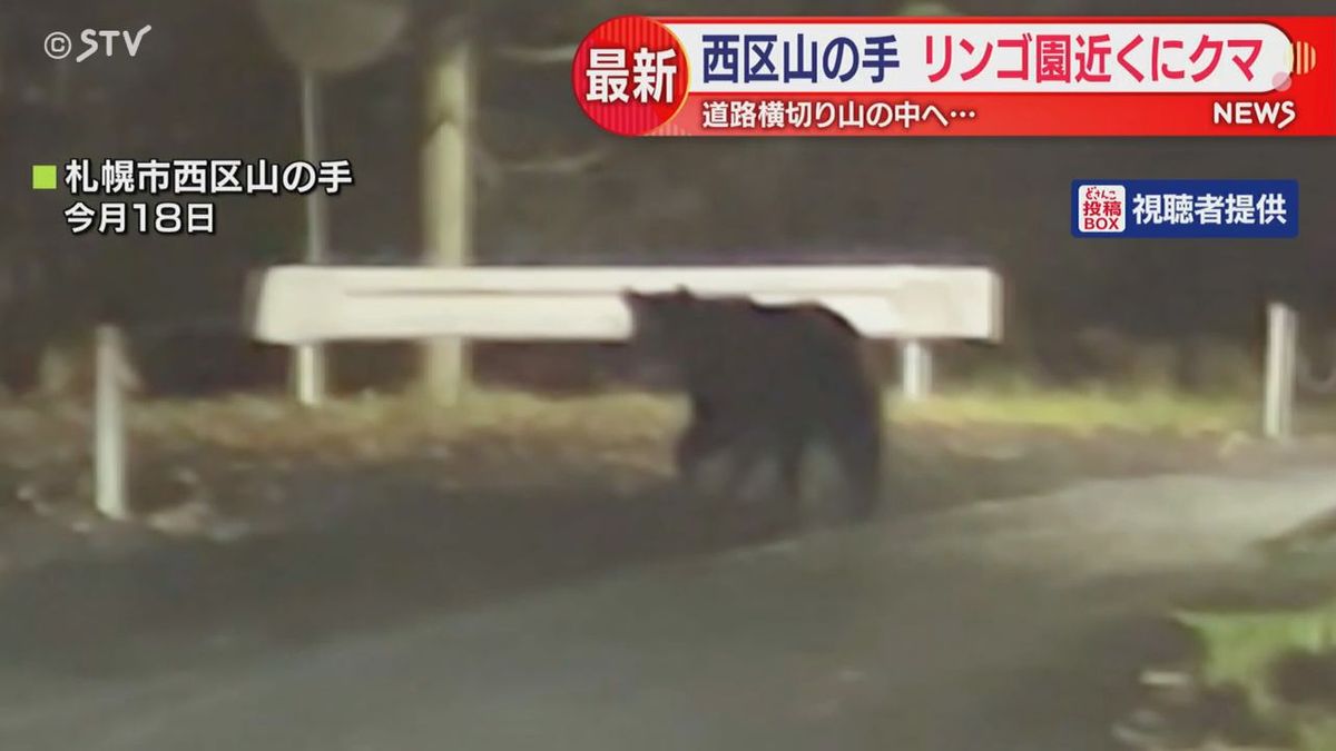 リンゴ園近くでクマ出没 道路横切り山の方へ 札幌市西区山の手 （2025 