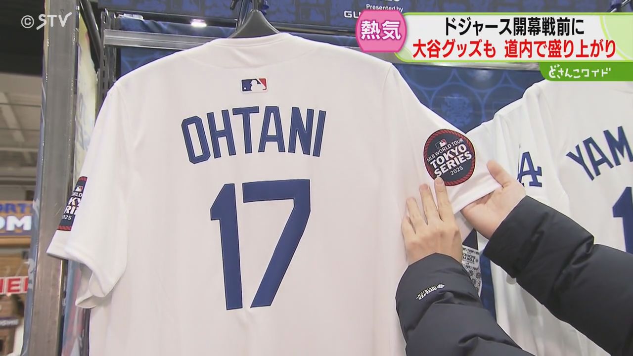 大谷翔平 札幌ドーム 初登板試合 記念品 他 大谷翔平 札幌ドーム 初