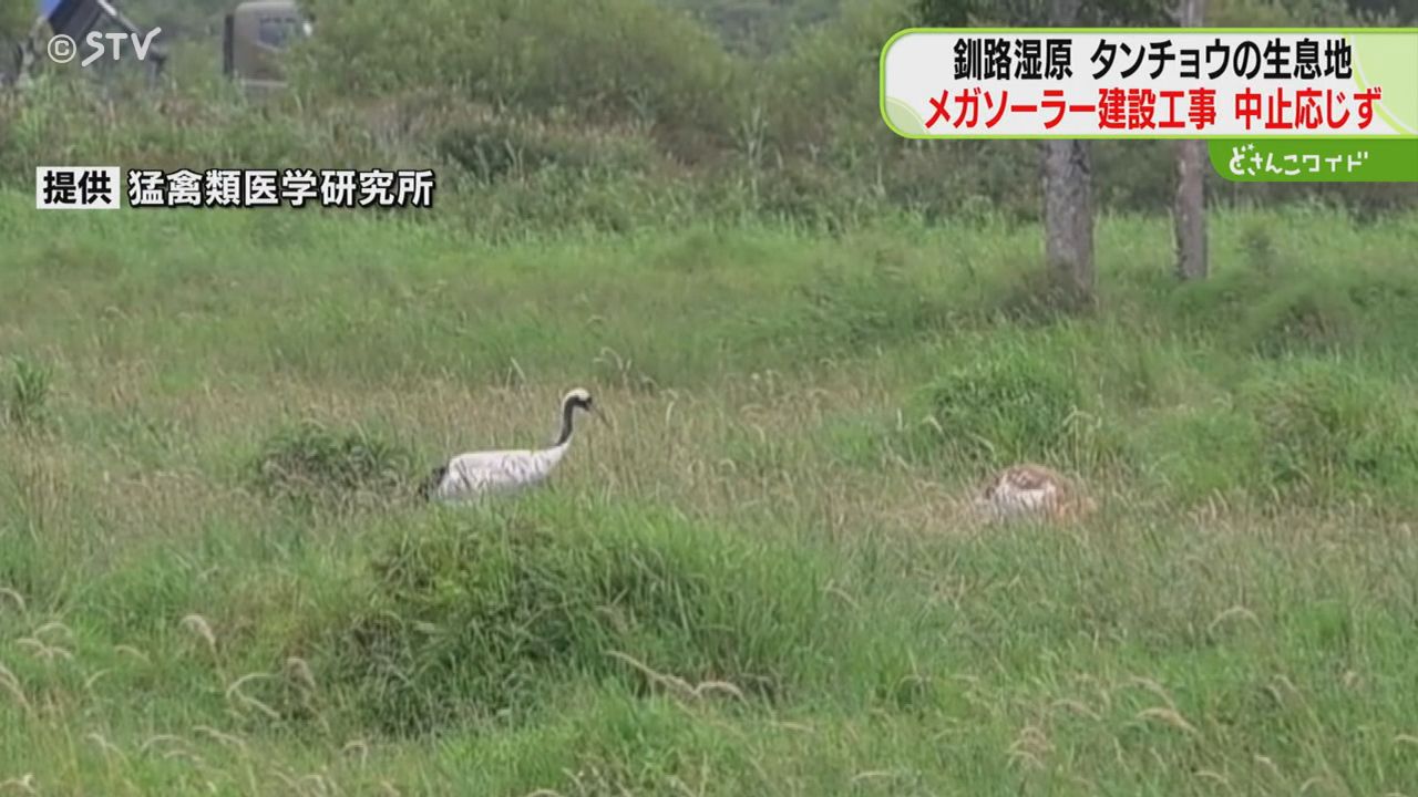 中止には応じられない」メガソーラー建設工事 希少生物への影響危惧も