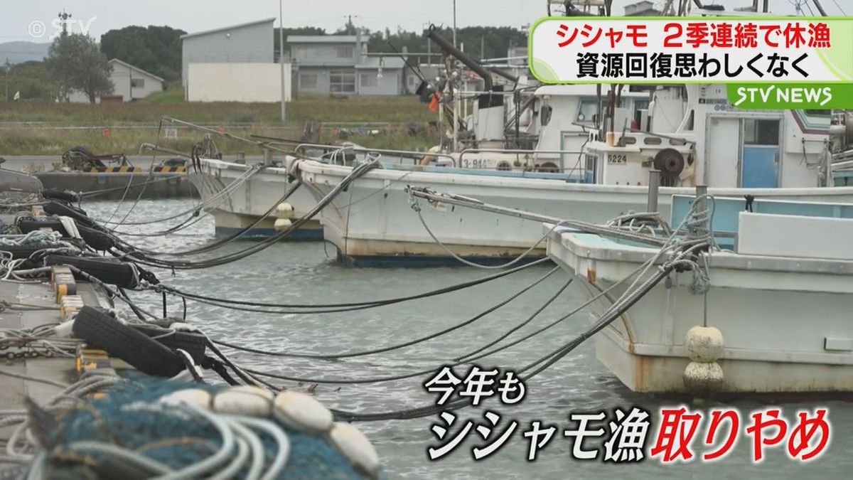 シシャモの資源量が回復せず　２年連続で休漁「この状態だと来年も…」　北海道・鵡川漁協