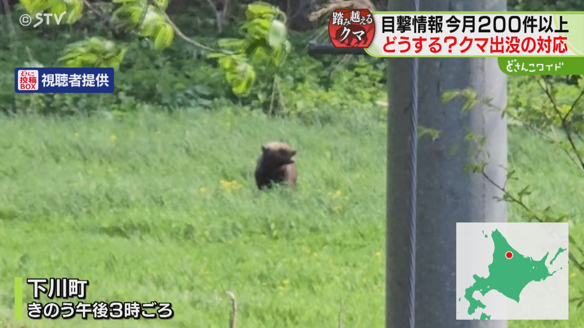 増え続けるクマの目撃件数 道内自治体は駆除の訓練実施 鳥獣保護管理法