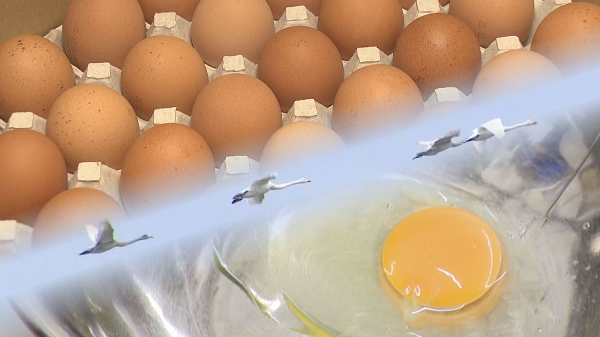 emeco bird お値下げ不可 emeco bird 最終価格 お値下げ不可 - メルカリ