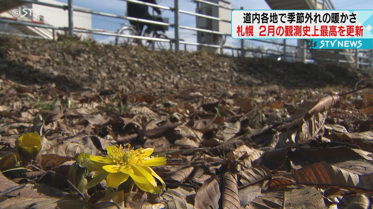 気温２月最高すでに更新も「体がついていかない！」北海道民困惑５月中旬並みの暖かさも