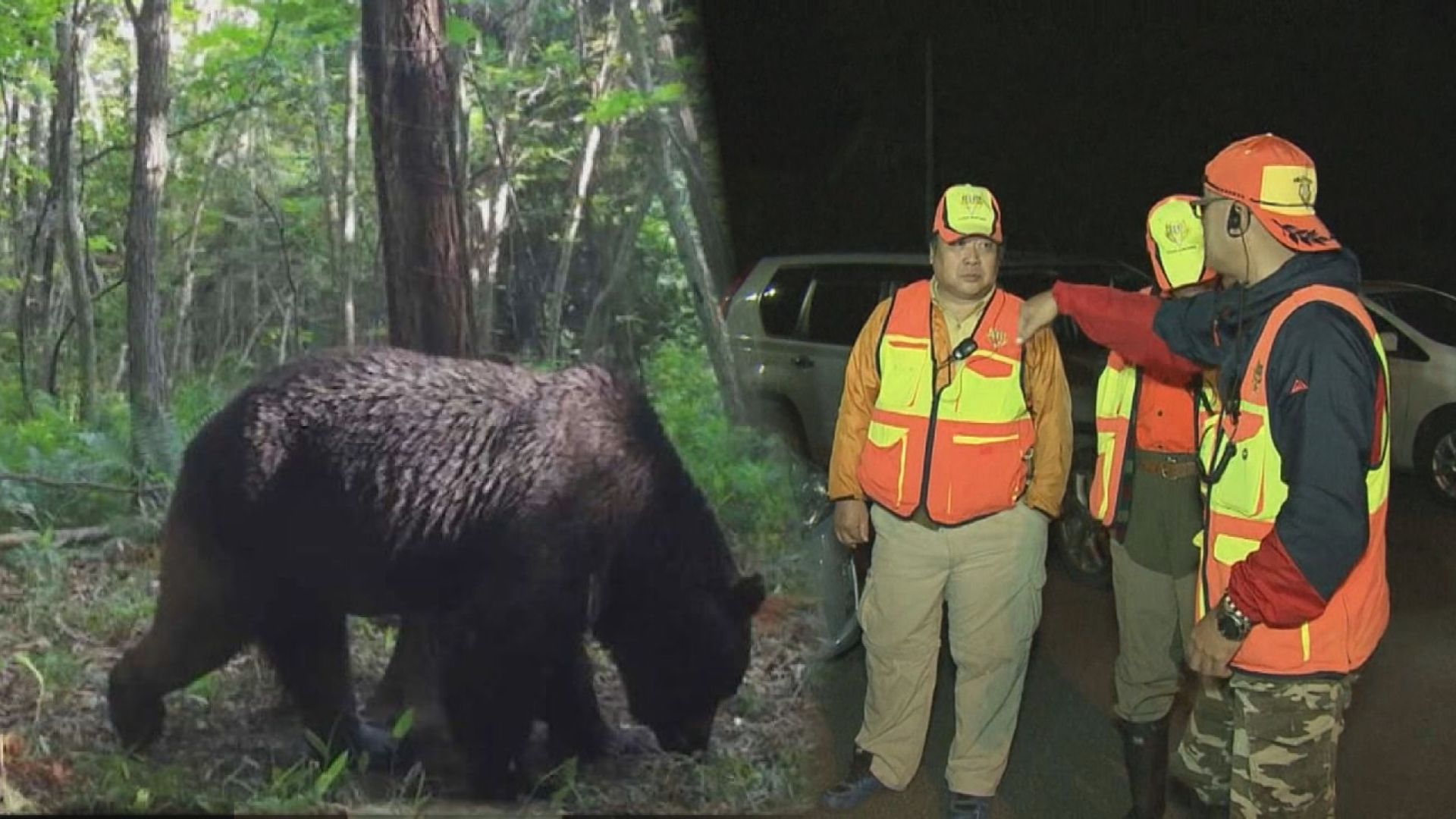 第二のOSO18出現か 命がけでクマと対峙 ハンター報酬“安