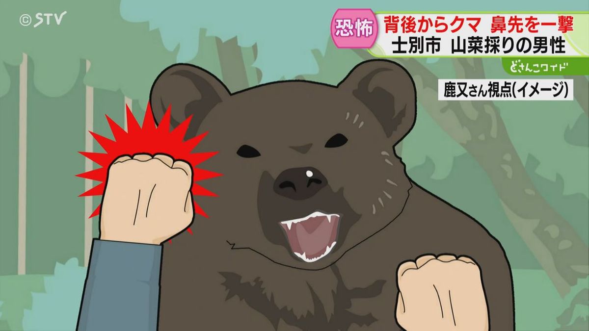 熊 の 弱点