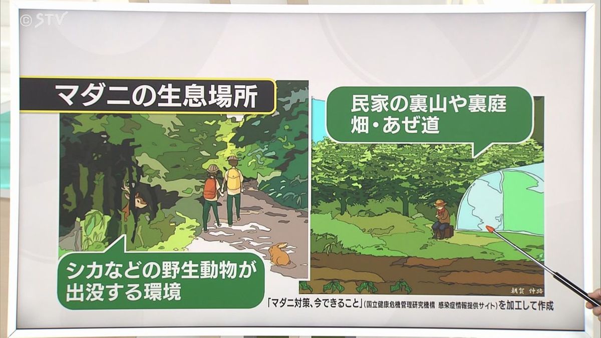 【解説】マダニの生息場所 民家の裏山や裏庭に注意 身を守るために…“肌の露出”を減らす工夫を（2025年8月20日掲載）｜STV NEWS NNN