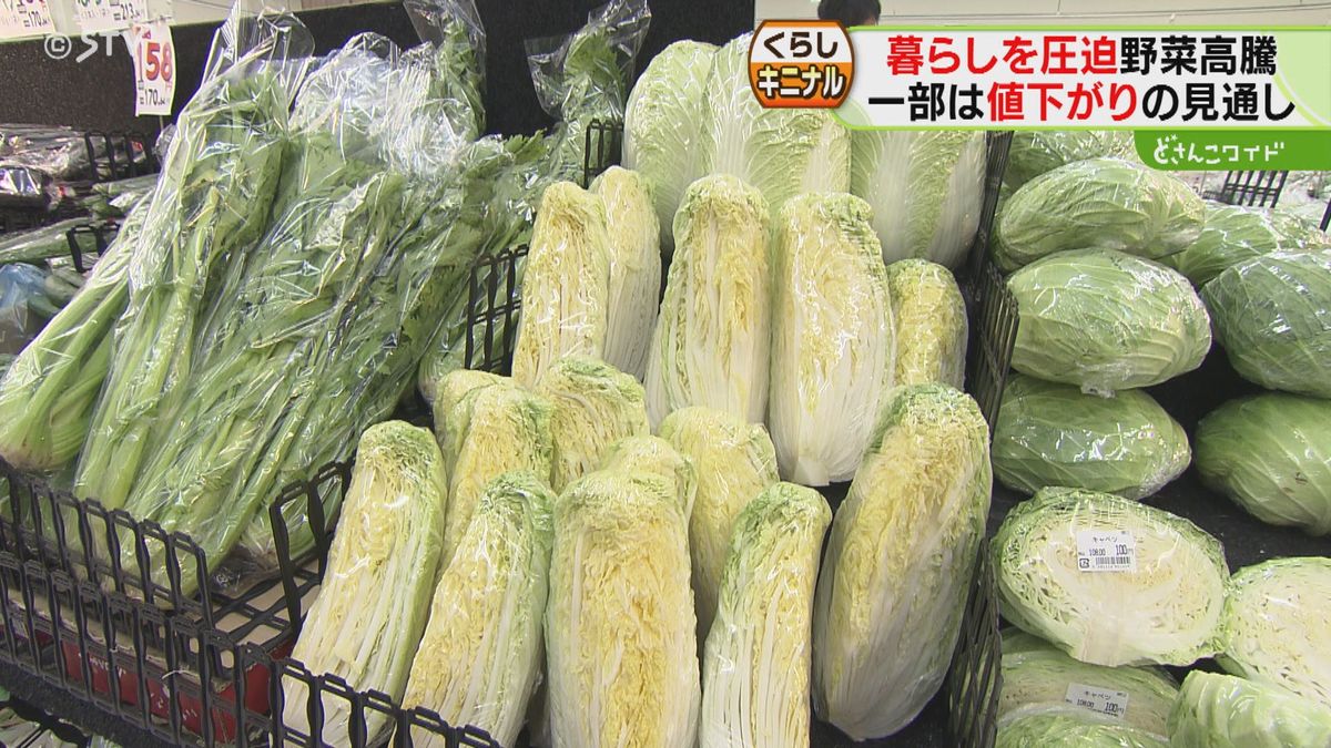 食欲の秋到来！　価格高騰続く野菜…　なかには値下がり見込みの品目も？　冬は鍋料理に期待大！