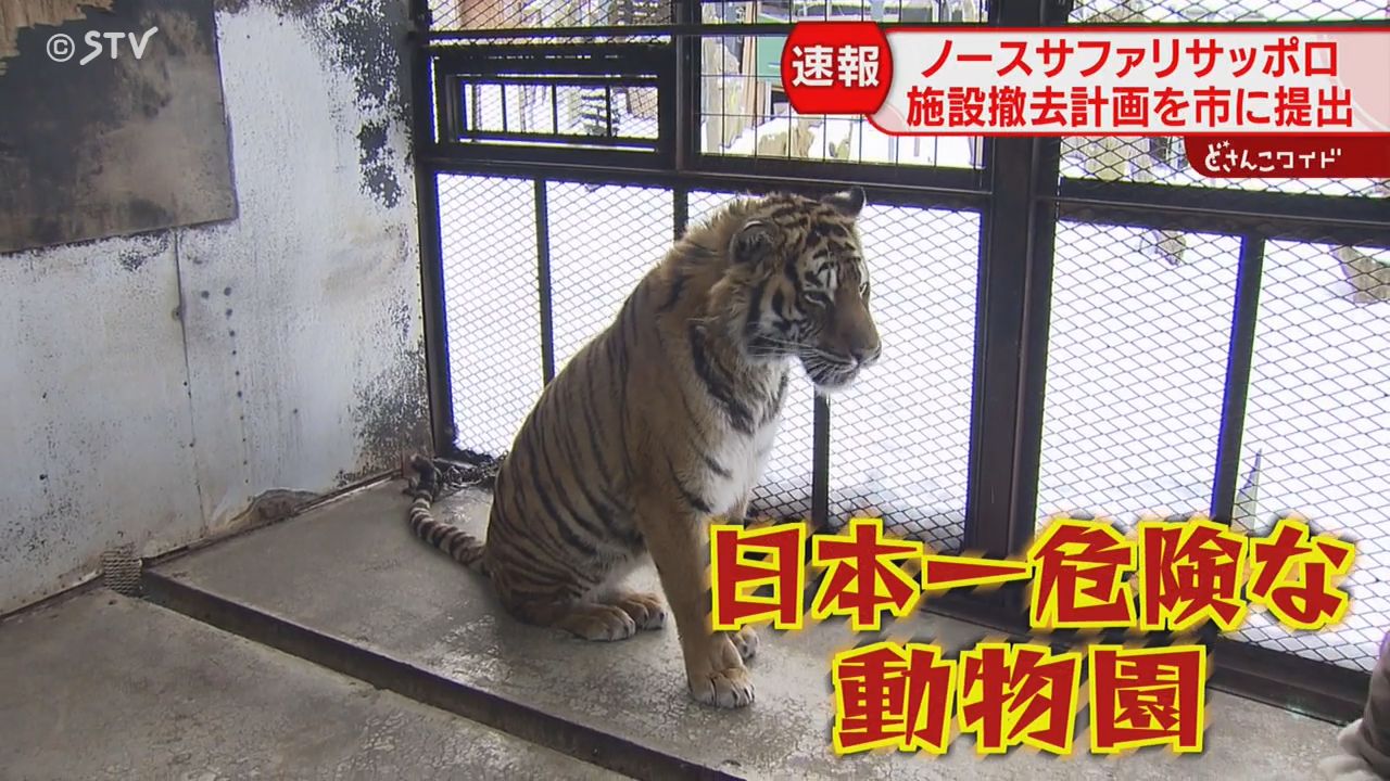 日本一危険な動物園「ノースサファリ」撤去計画提出 違法建築
