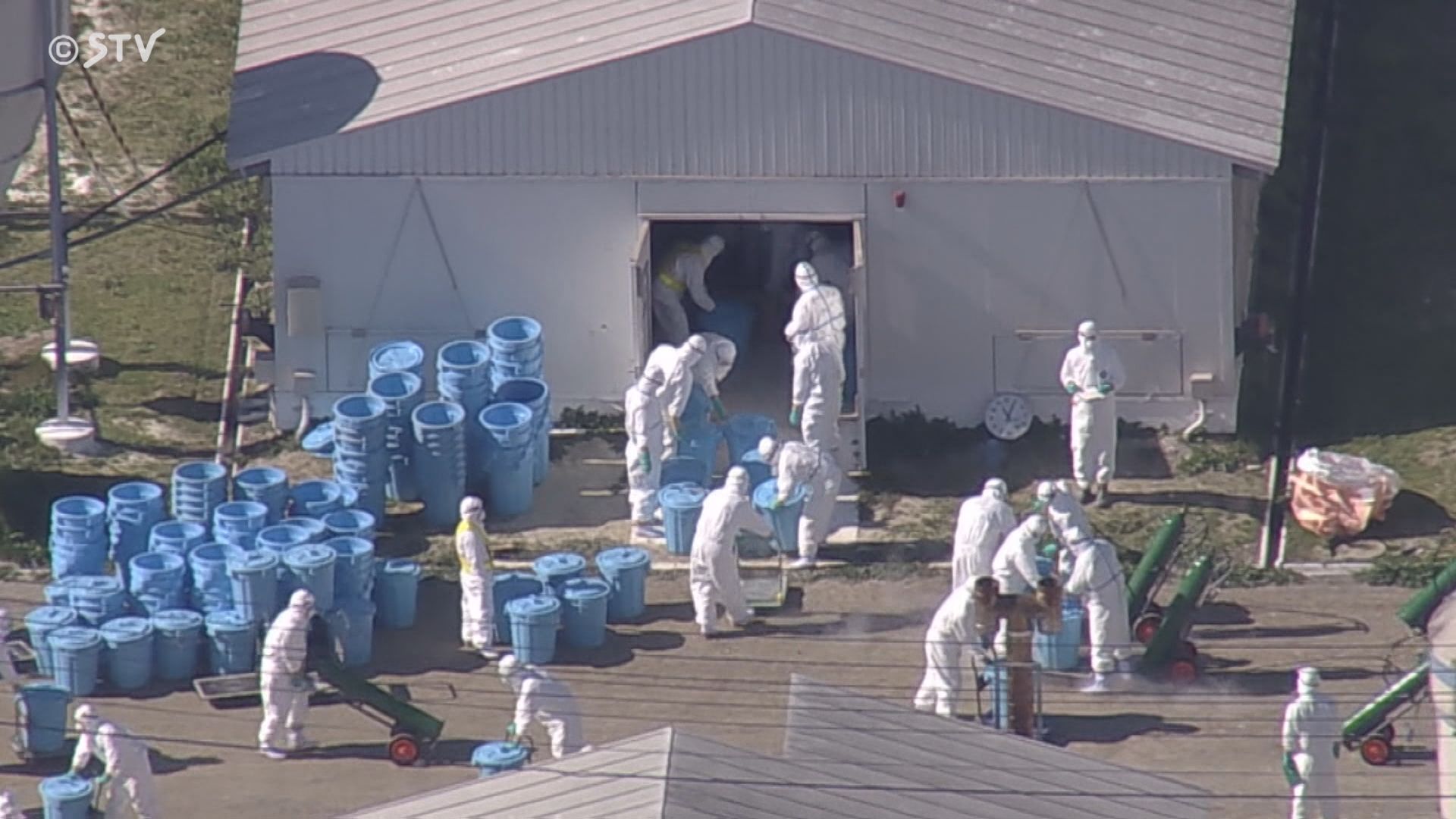 速報】午前7時に約2万羽の殺処分が終了 鳥インフル確認の養鶏場