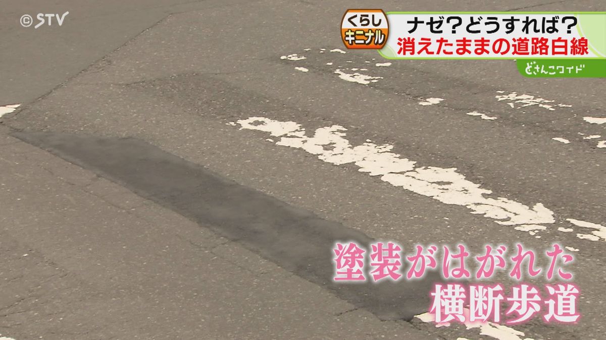 消えた道路の白線… 種類によって分かれる管理者 見つけたらどこに相談 
