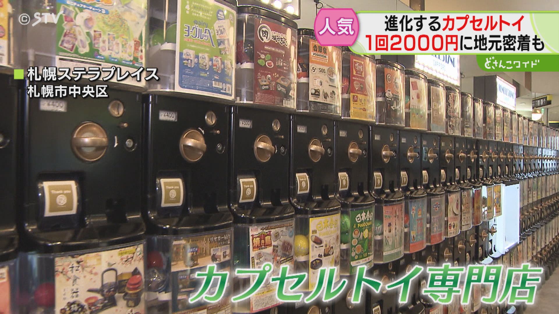 大人気の“ぎょうざちゃん”は１回２０００円 市場規模６１０億これがカプセルトイ最前線 （2024年5月7日掲載）｜STV NEWS NNN