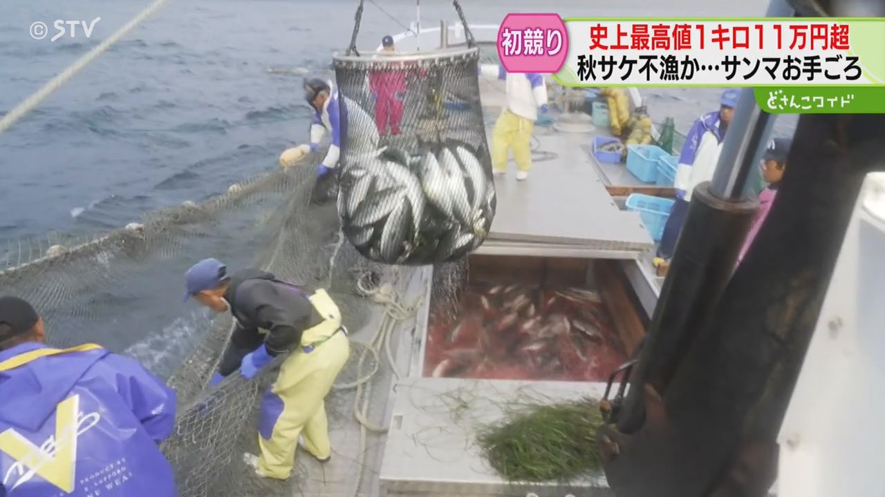 競り落とされた秋サケ店頭に「筋子が出てくると秋だな」定置網漁解禁で