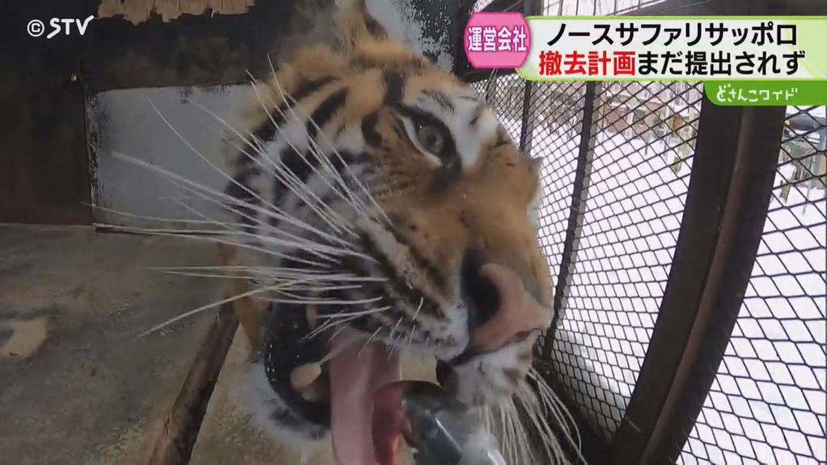 「日本一危険な動物園」撤去計画はまだ提出されず…飼養未登録のアザラシ大量死も発覚　札幌市　