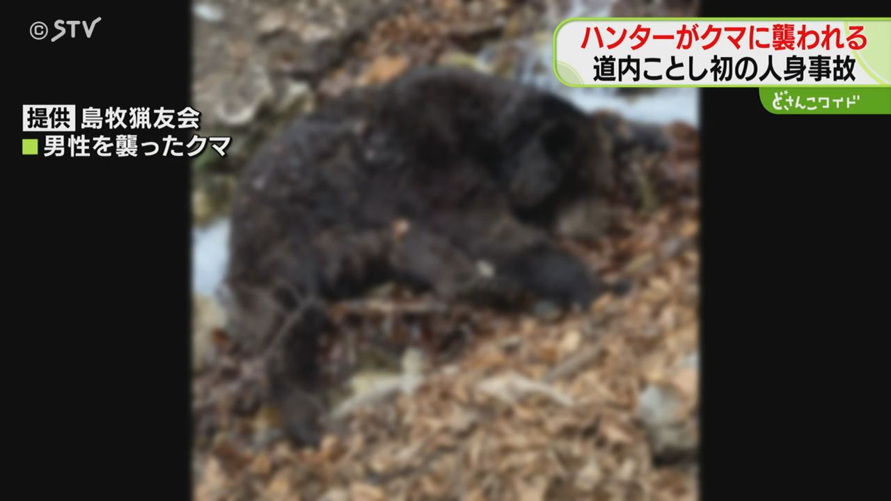 体重300キロに迫るクマ…発砲したハンターに反撃「覆いかぶさって