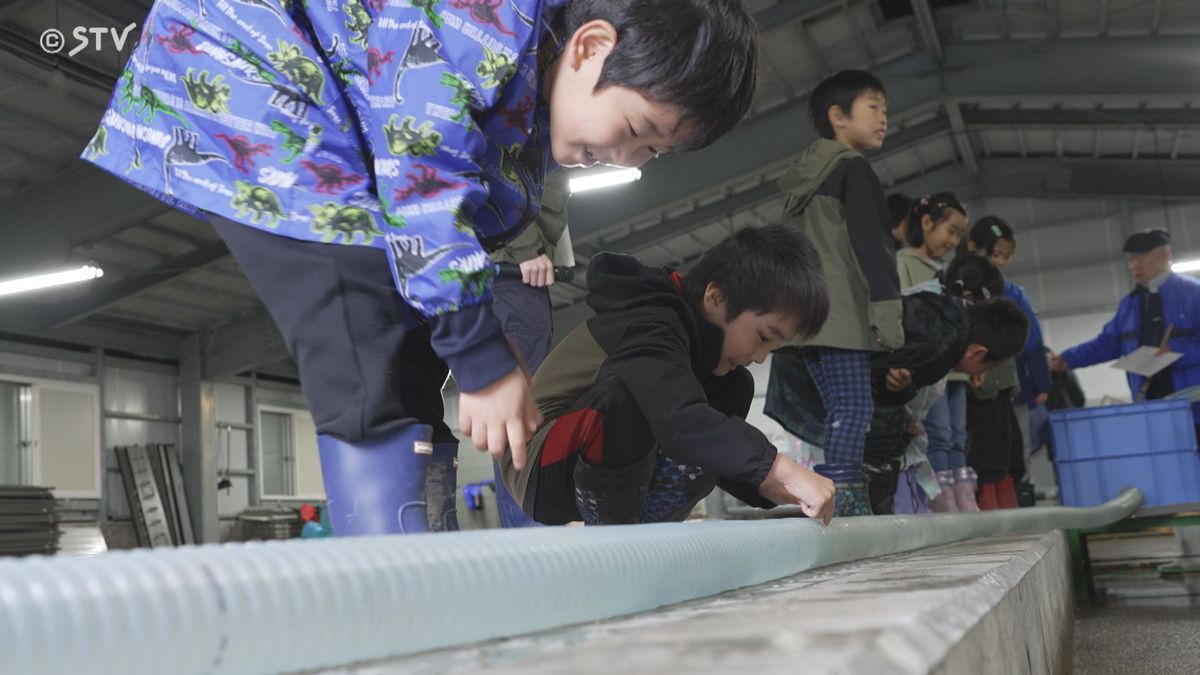 【頑張って帰ってきてね】サケの稚魚放流式を実施 地元小学生が参加 北海道・浦河町