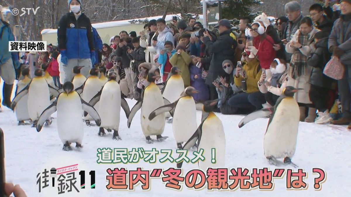 「摩周湖のオーロラ」に「網走の流氷」　北海道民がオススメする“冬の観光地”は？