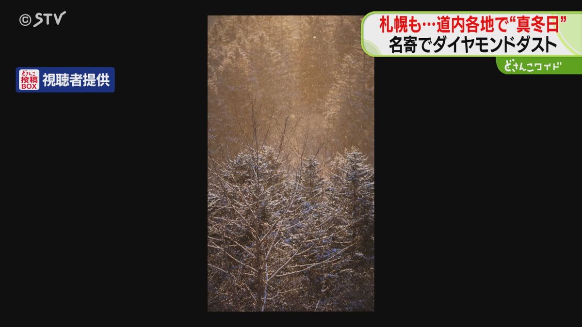 キラキラ氷の結晶が輝く自然現象《ダイヤモンドダスト》名寄で観測　札幌も１２日ぶり真冬日に…