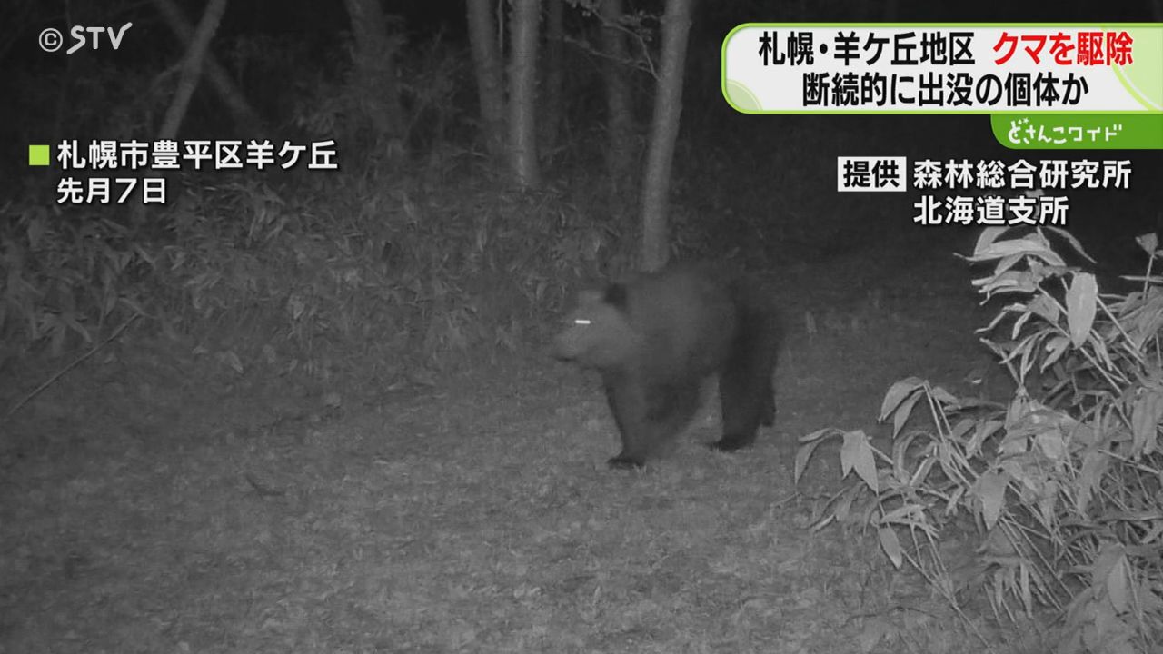 断続的に出没していた個体か 羊ケ丘でクマ捕獲…駆除 別の個体もカメラ