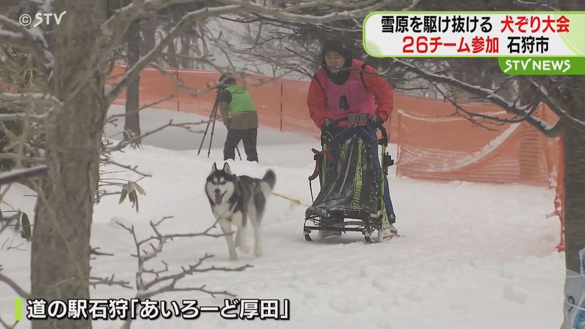 雪原を駆け抜ける　26チームが参加　犬ぞり大会が開催　北海道・石狩市