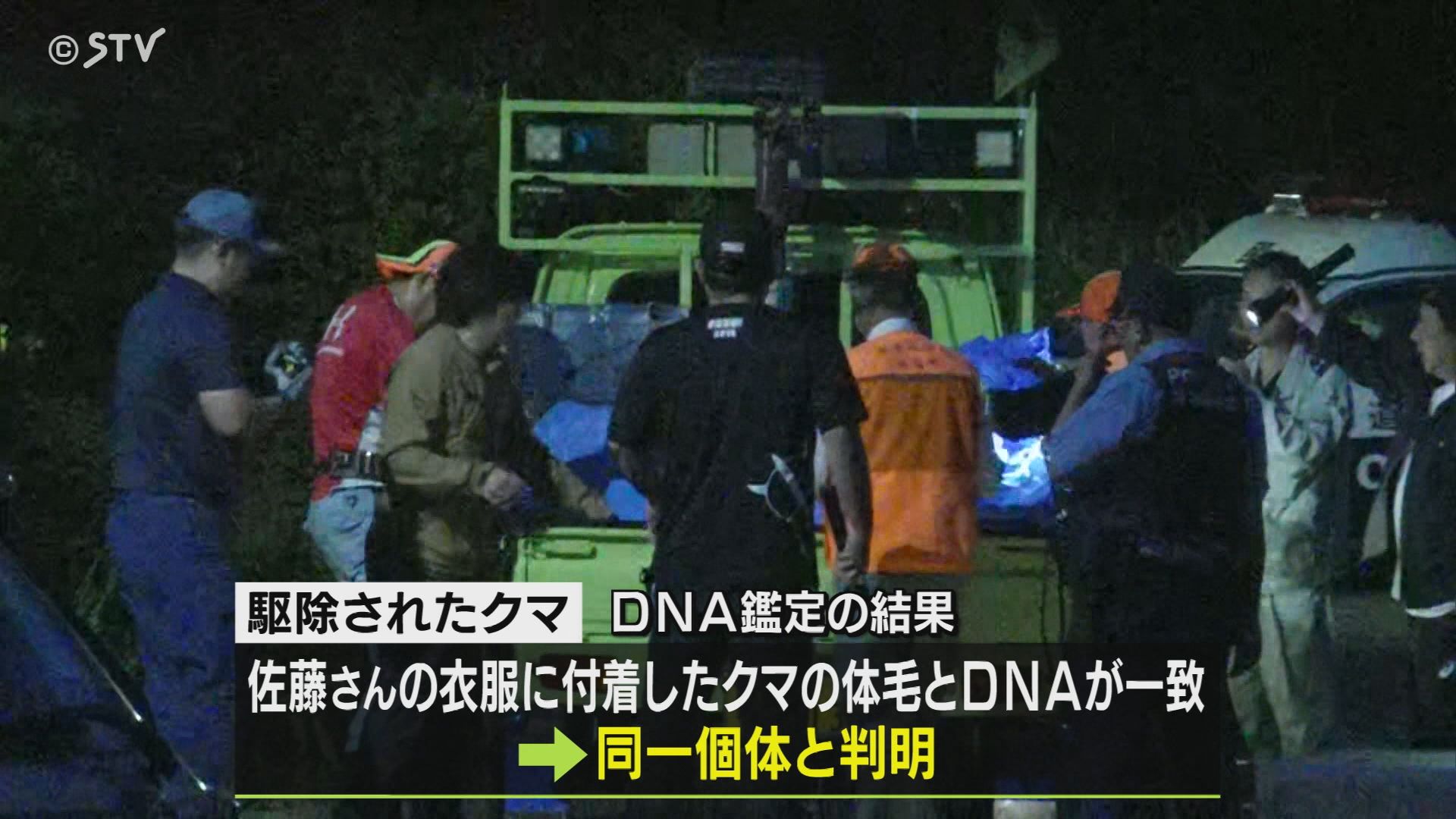 駆除されたクマ DNA判定の結果…男性襲ったクマと” 同一個体”と判明