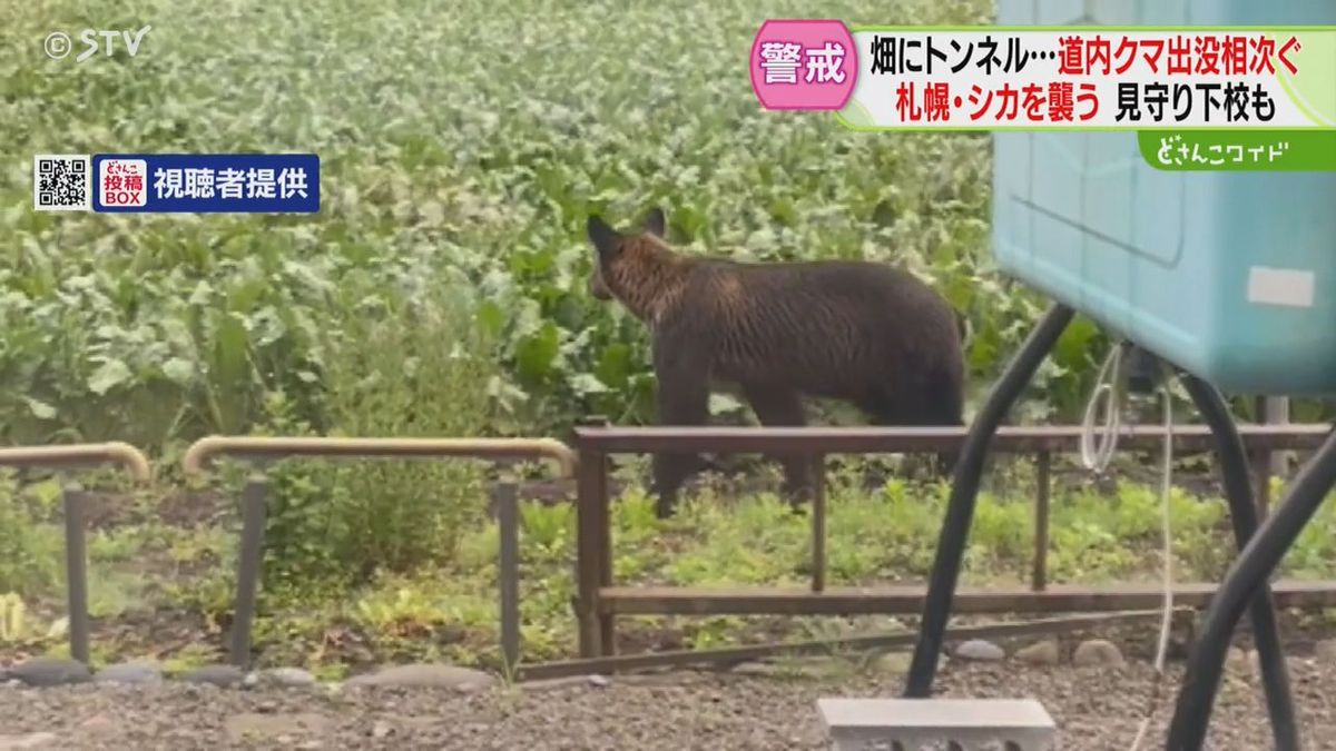 目の前の畑に・トンネル内に・シカを襲ったり・新聞配達中に…止まらぬクマ目撃　北海道各地