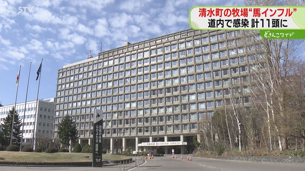 清水町でも馬インフル確認　帯広競馬場で発覚したばかり　今回の感染…ばんえい競走馬以外では初　北海道