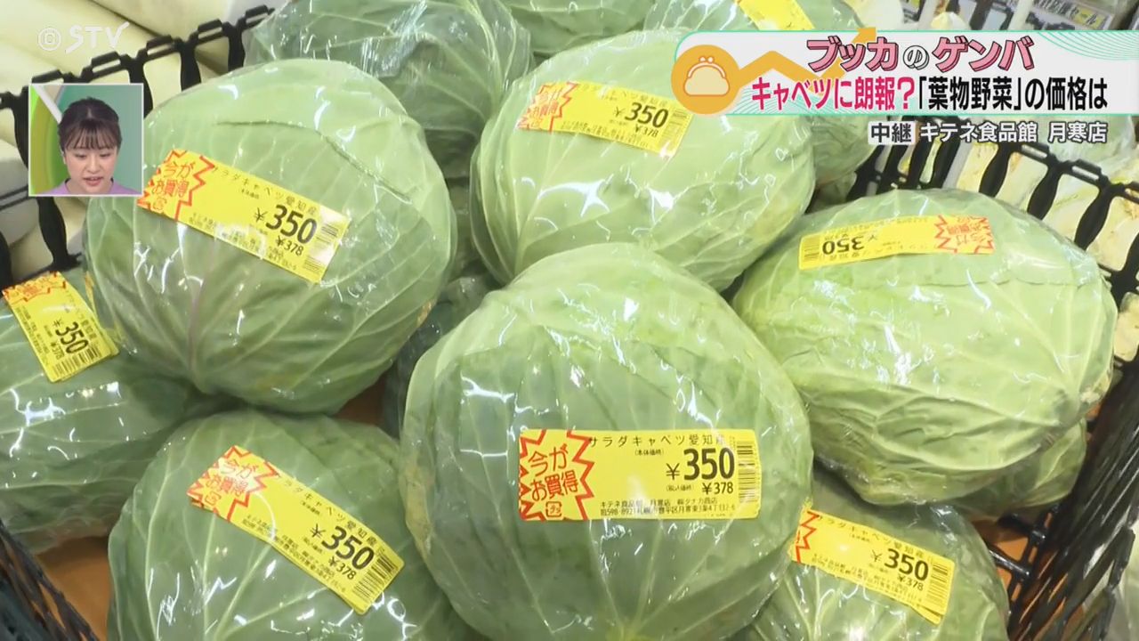 キャベツ1玉430円 高止まり続く 気になる野菜の価格 ダイコンが