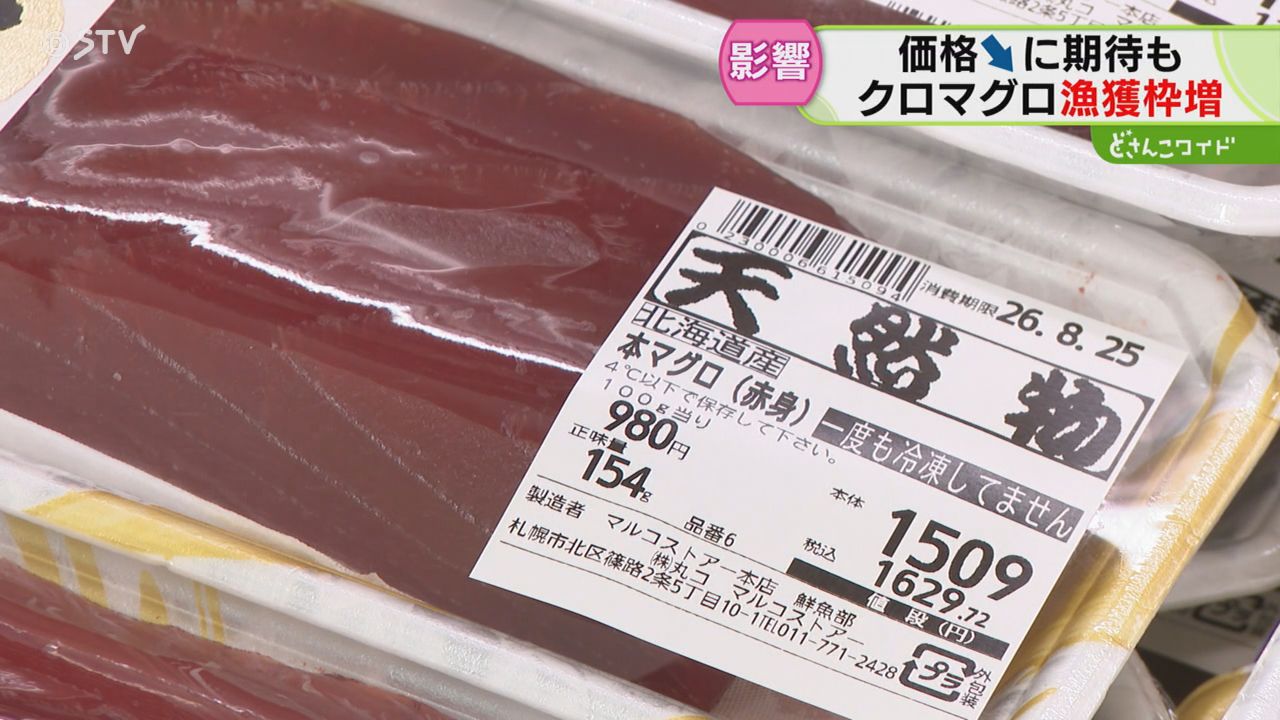 毎日定置網にクロマグロが…「1日20～30本かかる」漁師も感じる