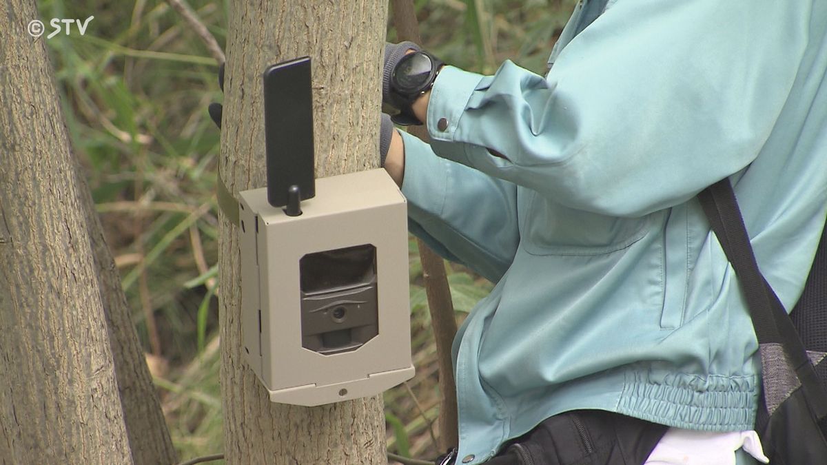 クマ生息地で…「調査用センサーカメラ」盗まれる　札幌市が被害届「市民の安全に多大な影響」