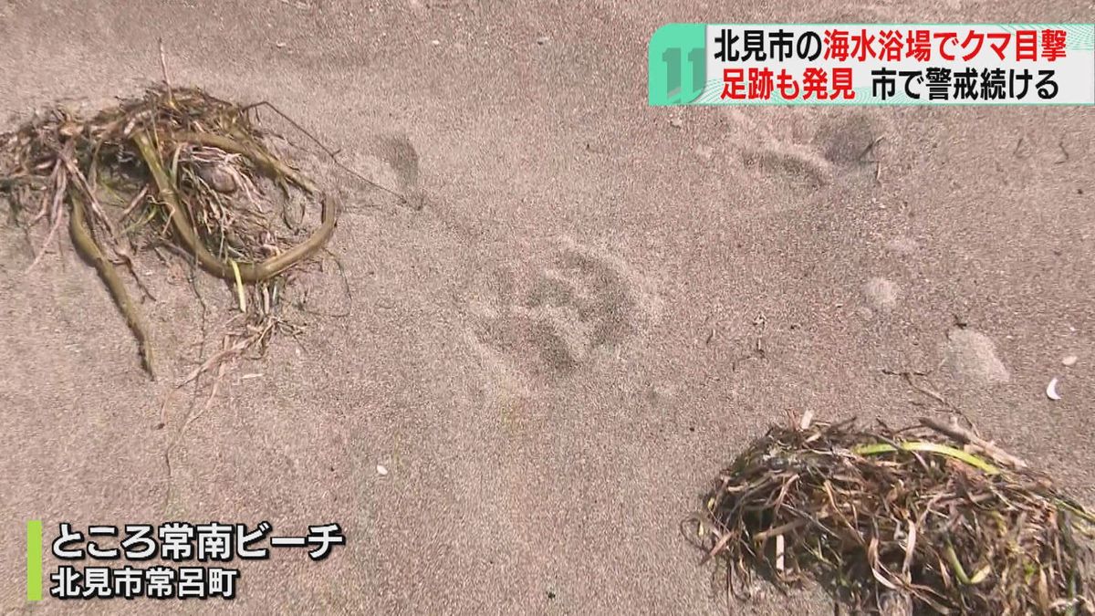 散歩中に気づいた黒い影…早朝の海岸、砂浜にクマ足跡はっきりと…海水浴場閉鎖　北海道北見市　