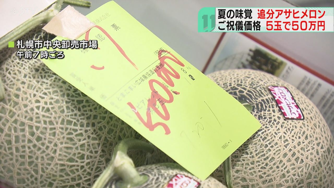 追分アサヒメロンの初せり 5玉で50万円のご祝儀価格 北海道産メロン 追分アサヒメロンの初せり 5玉で50万円のご祝儀価格 北海道産メロン