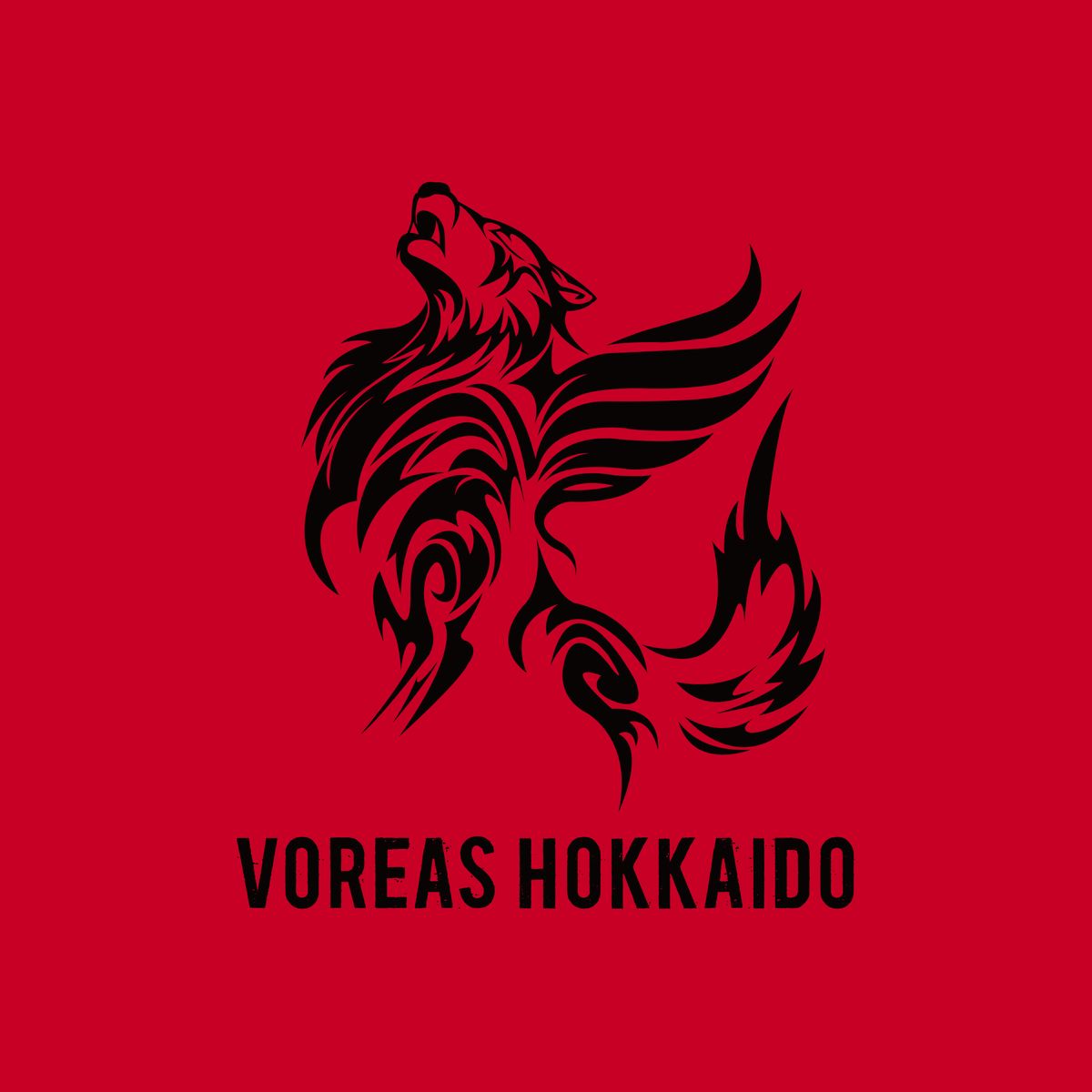 【ヴォレアス北海道】今季最後の函館開催で勝利飾れず