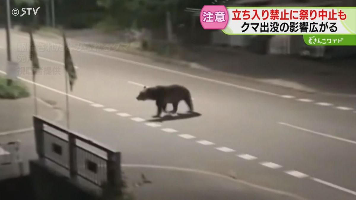 熊 北海道 出没