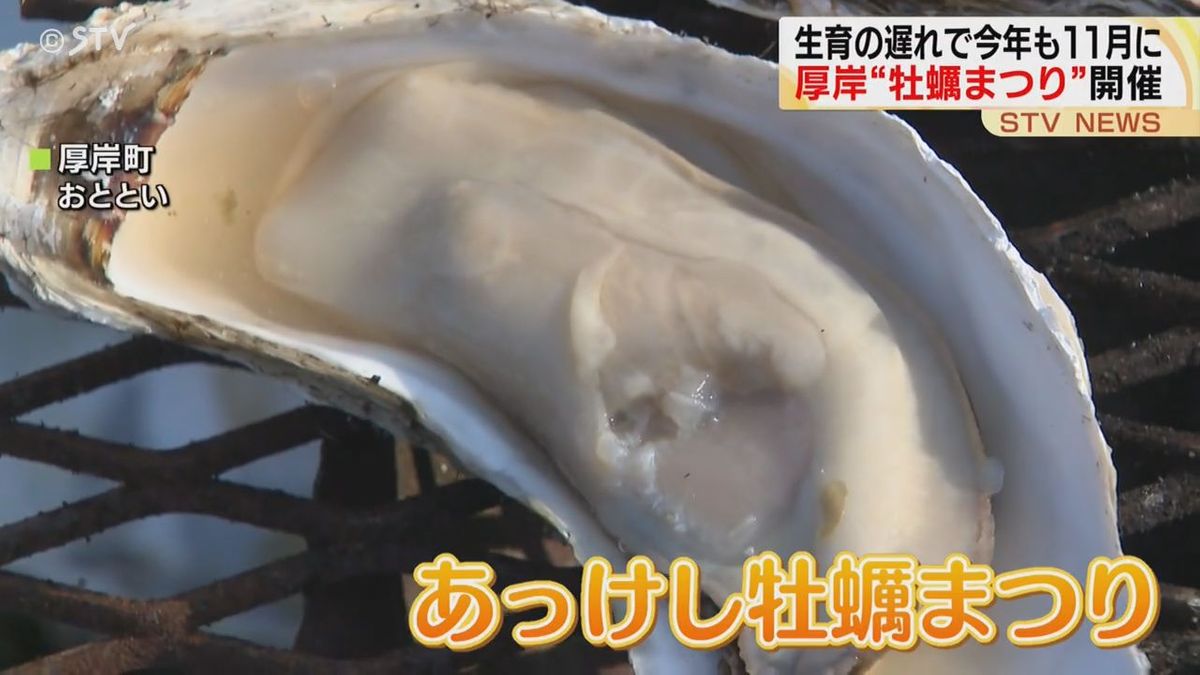 海水温上昇影響は恒例のまつりにも影響…「あっけし牡蠣まつり」今年も１１月に開催　成長遅れ…