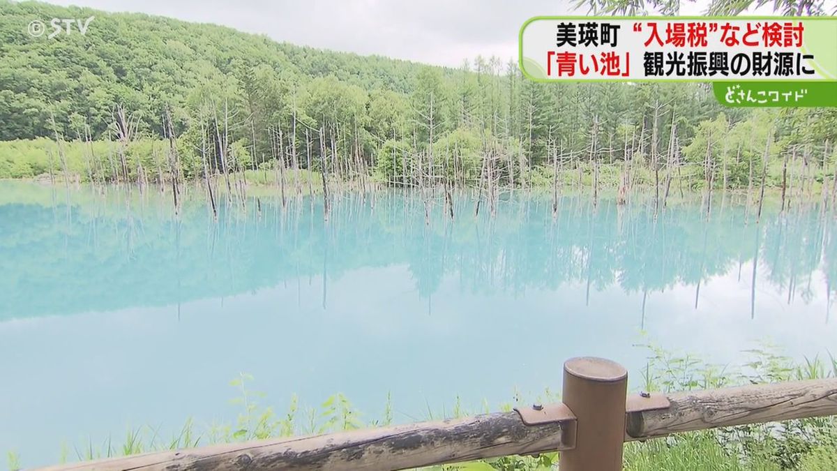 北海道を代表する観光地・美瑛町「青い池」入場税を検討　宿泊税導入予定も…なぜ入場税まで？