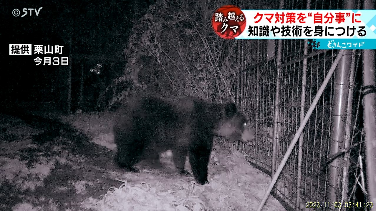 2ページ目 身近に迫るクマ 危険な捕獲 ベテランから学ぶ若手ハンター