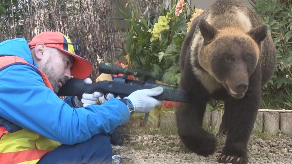 身近に迫るクマ　危険な捕獲　ベテランから学ぶ若手ハンター　クマと向き合う　北海道