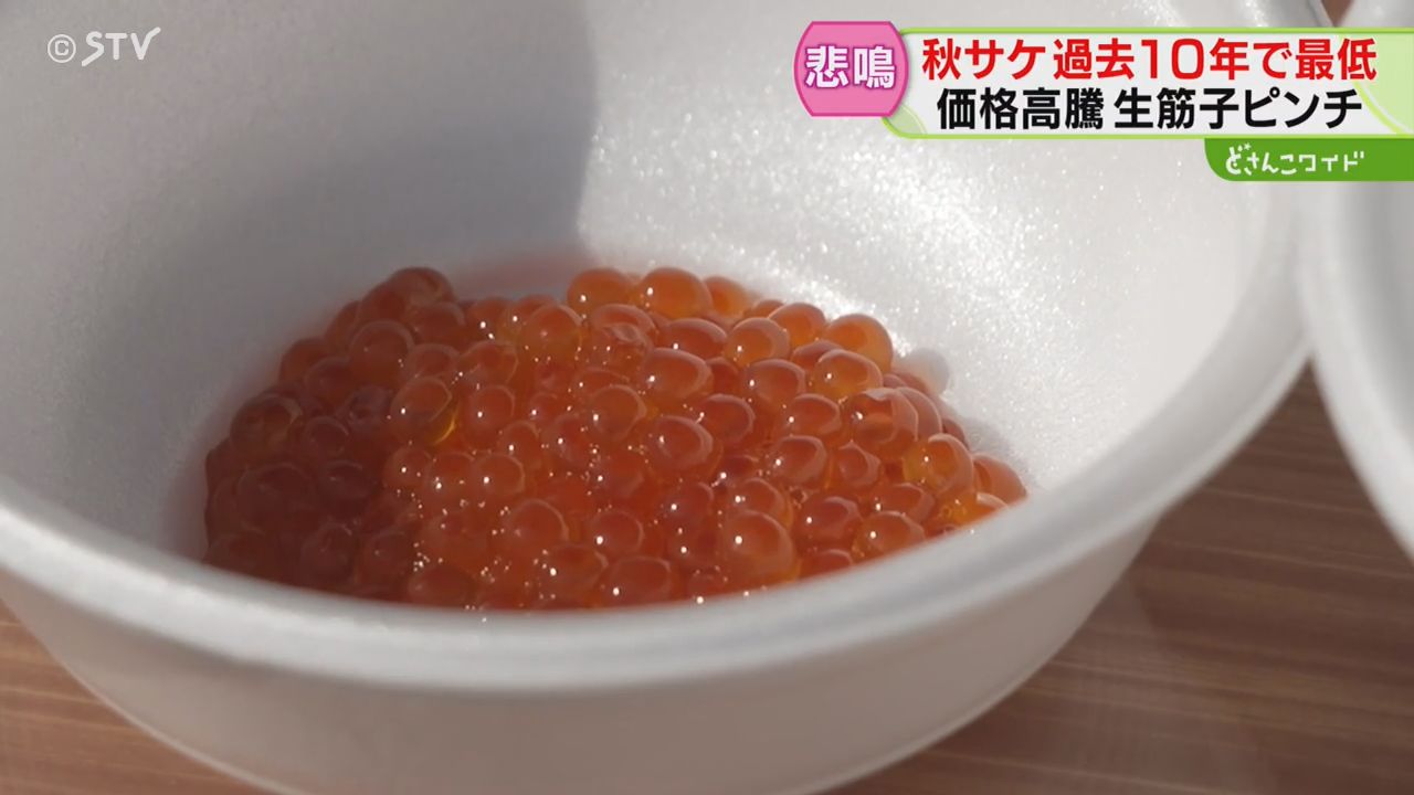 過去10年で漁獲数最低に 生筋子が価格高騰 安く提供しようと店も工夫