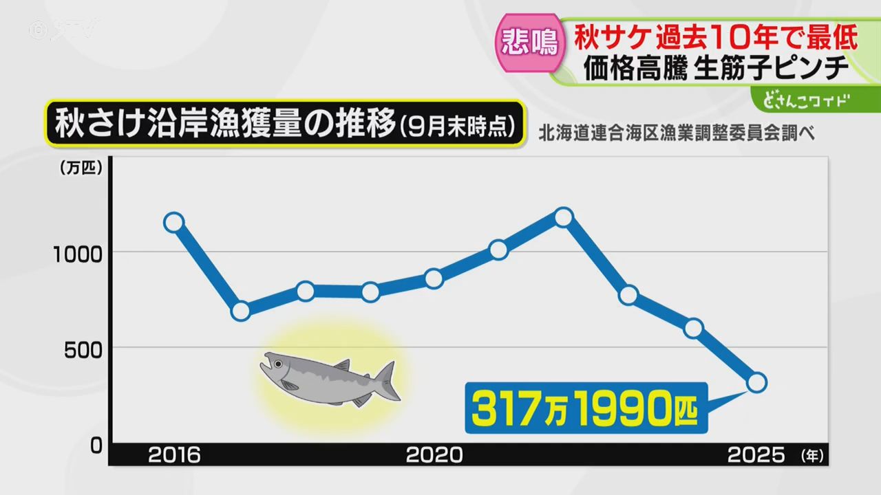 過去10年で漁獲数最低に 生筋子が価格高騰 安く提供しようと店も工夫