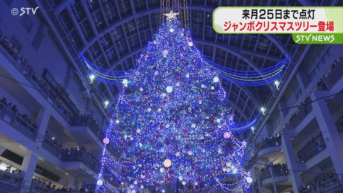 早くもクリスマスムード演出　恒例のジャンボクリスマスツリーが点灯　