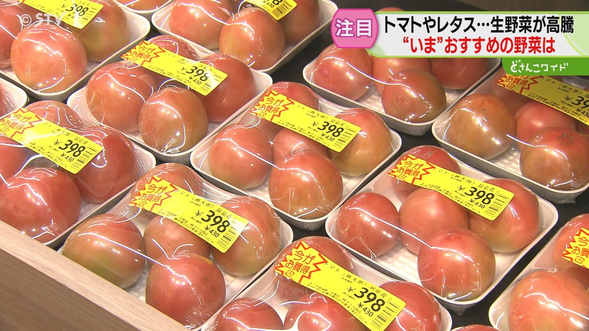 小さなレタスが価格２倍、トマトは例年の２～３倍に…！一方、価格が安定している野菜は？北海道