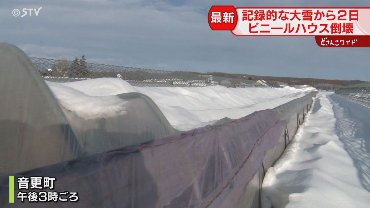 車が“雪だるま”　ビニールハウスも倒壊「自然の恐ろしさ」　収穫に遅れも…大雪の爪痕　北海道