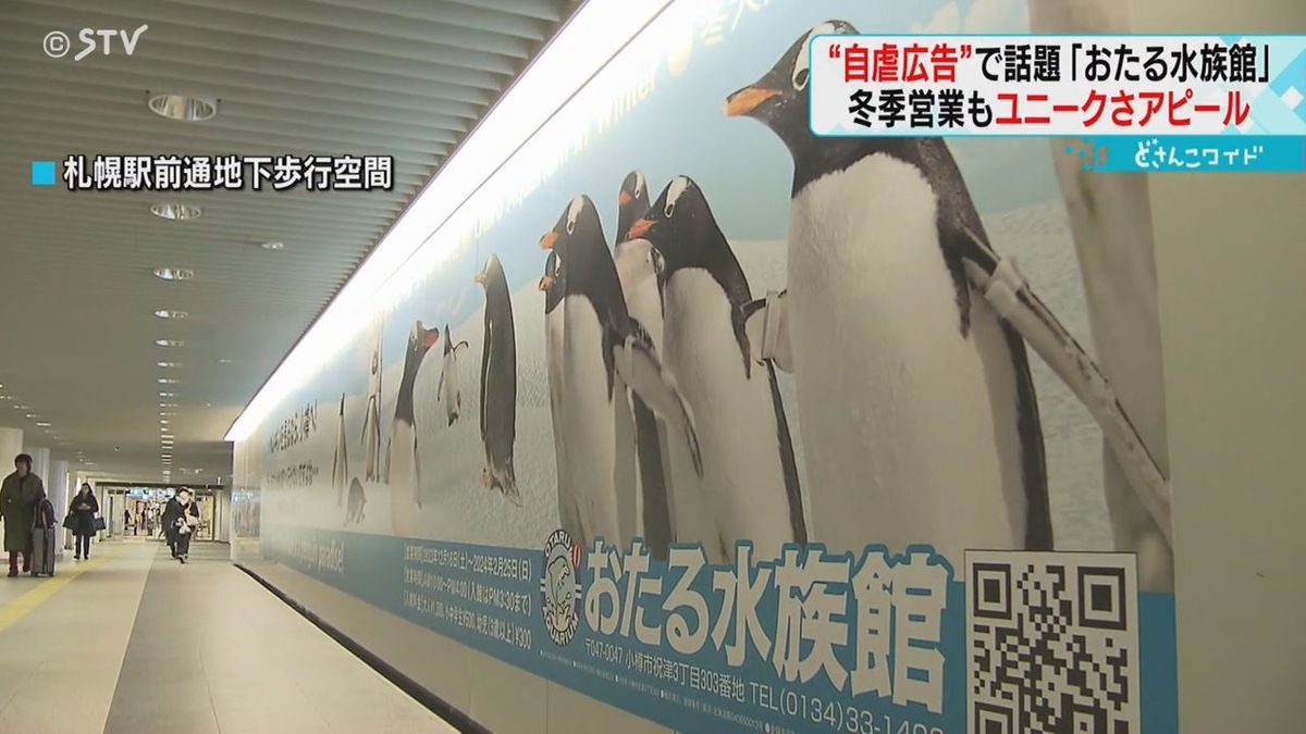 「ほかのマチへ行かないで」ユニークな自虐広告　ペンギン散歩をＰＲ　北海道・おたる水族館