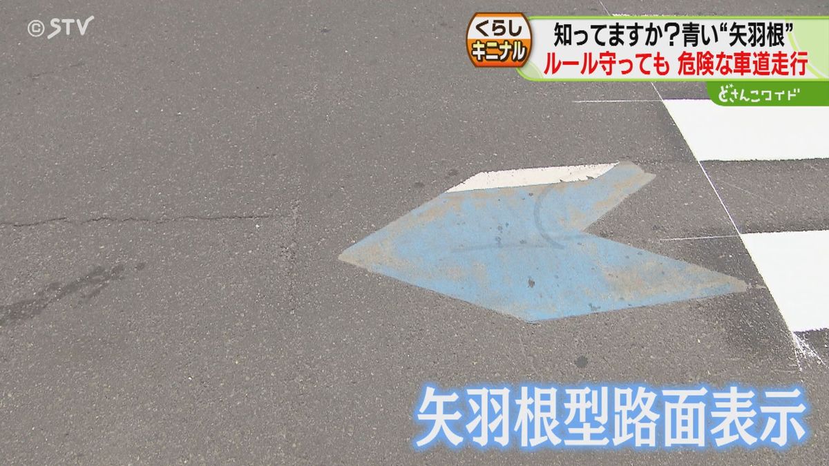 道路の左側の青い標識“矢羽根式”石黒瞳記者が自転車で走って実感「決定的な対策できていない」