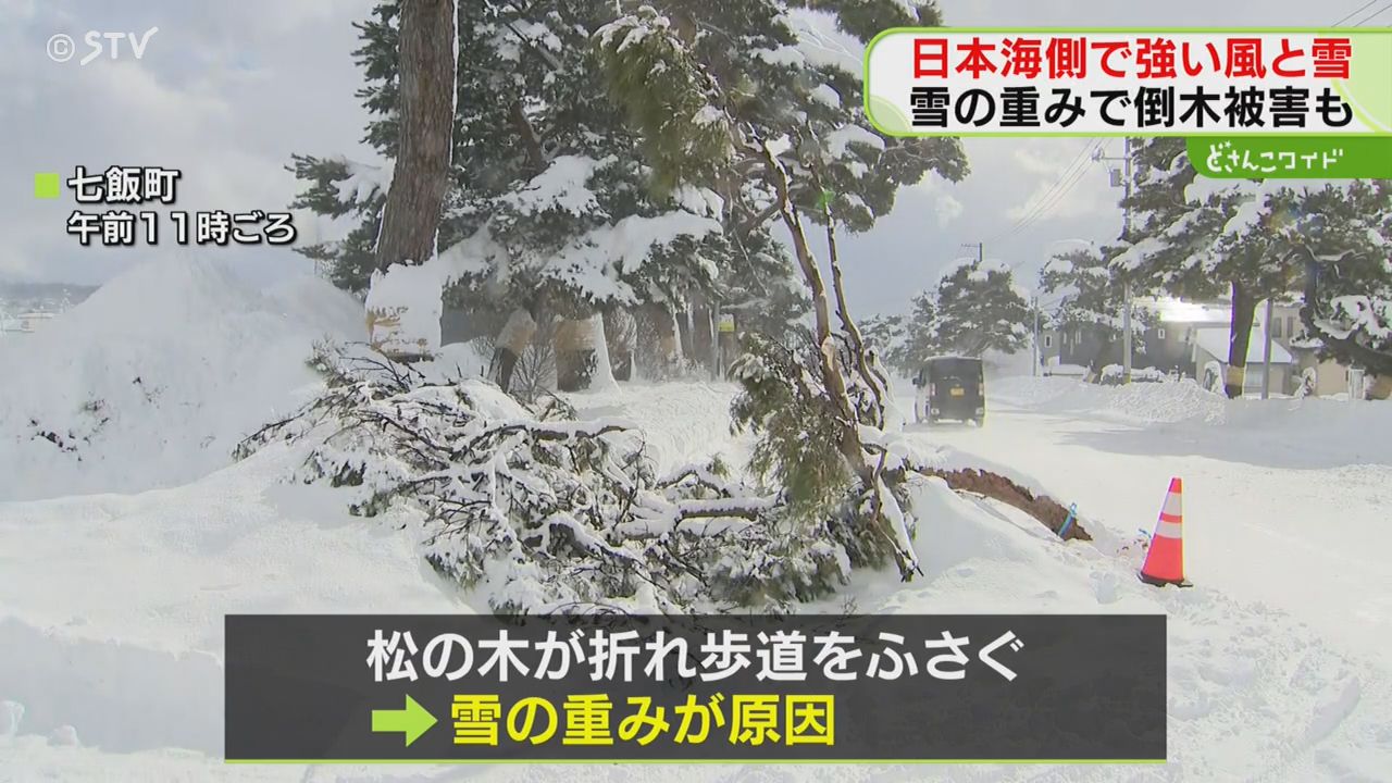 北海道の雪 Heavy snowfall of 42cm in 24 hours: Towns on the Sea of