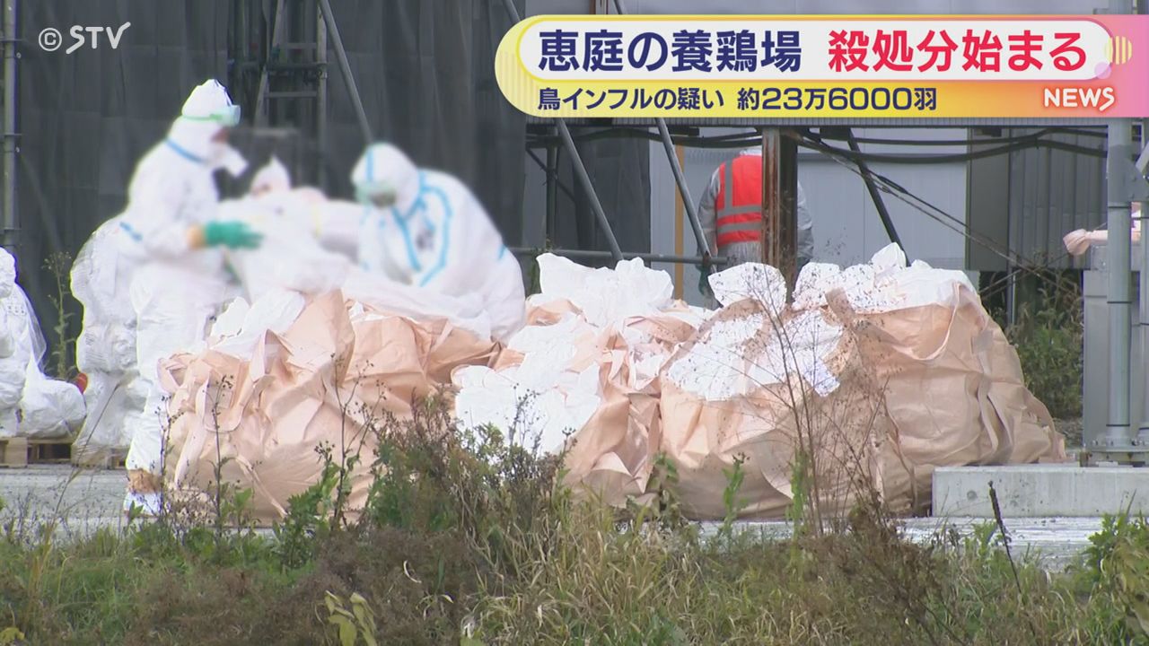 鳥インフル】恵庭の養鶏場で約23万羽殺処分始まる（2025年11月2日