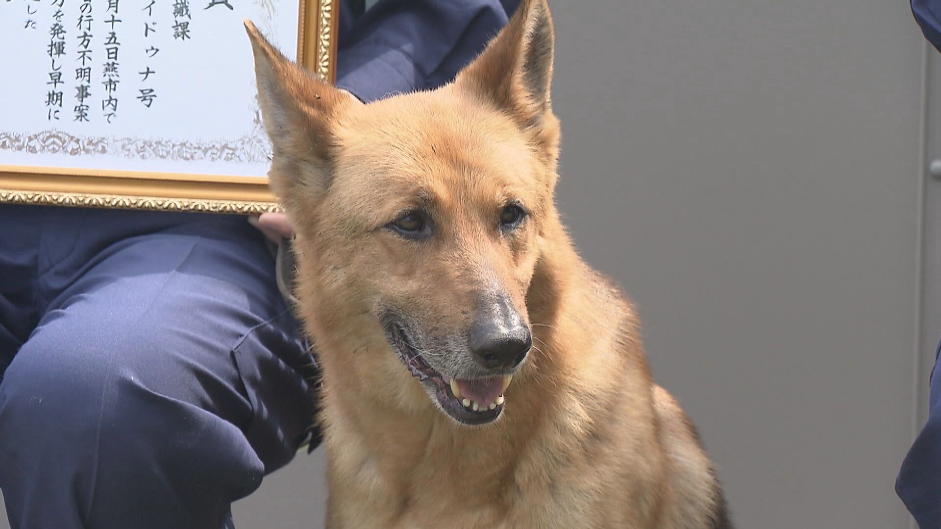 警察犬「イドゥナ」が14歳11か月で死ぬ 歴代最多の出動件数 事件
