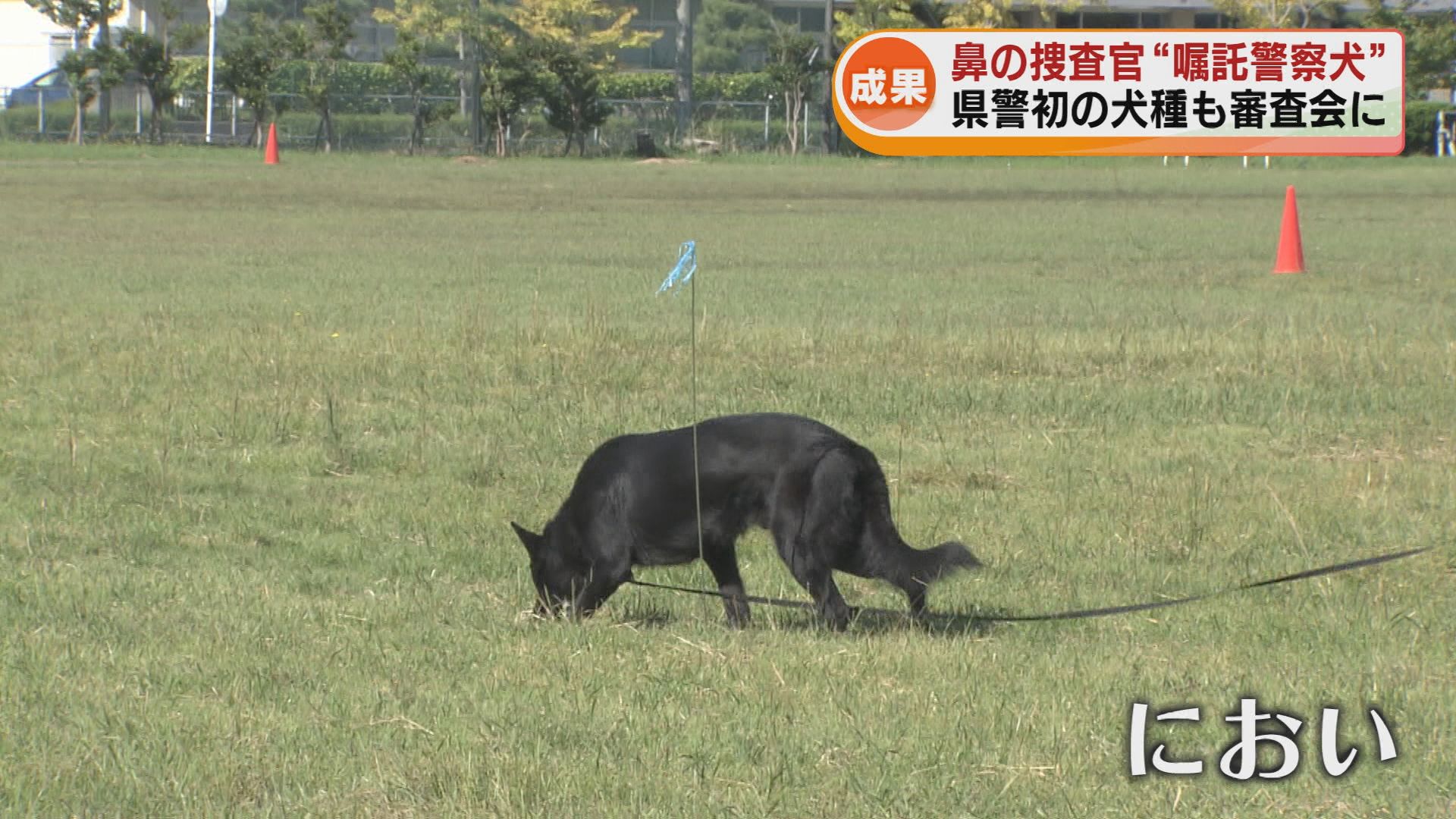 嘱託警察犬の審査会 初参加の犬種も 頭数減少で“犬種しばり”撤廃