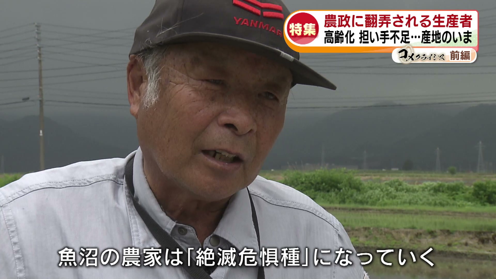 特集】“コメクライシス”～前編～ 農政に翻弄される生産者の