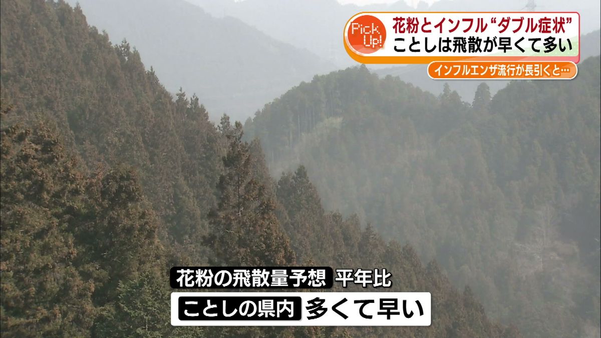 花粉とインフルエンザの“ダブル発症”に注意　重症化するおそれも　ことしは飛散が“早くて多い” 《新潟》